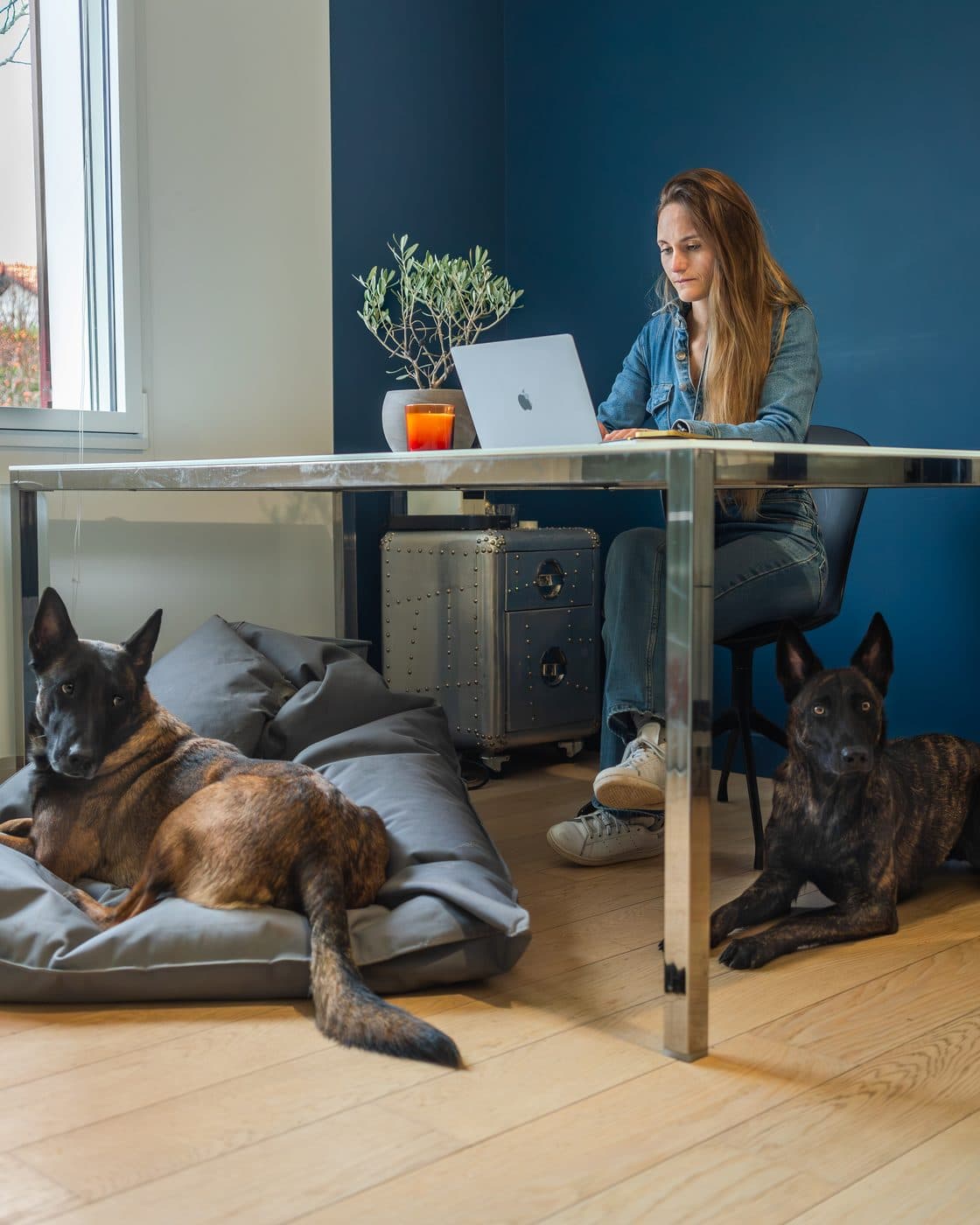 Solenne Legros à son bureau, ses deux chiens Rafale et Uzi couchés à ses pieds